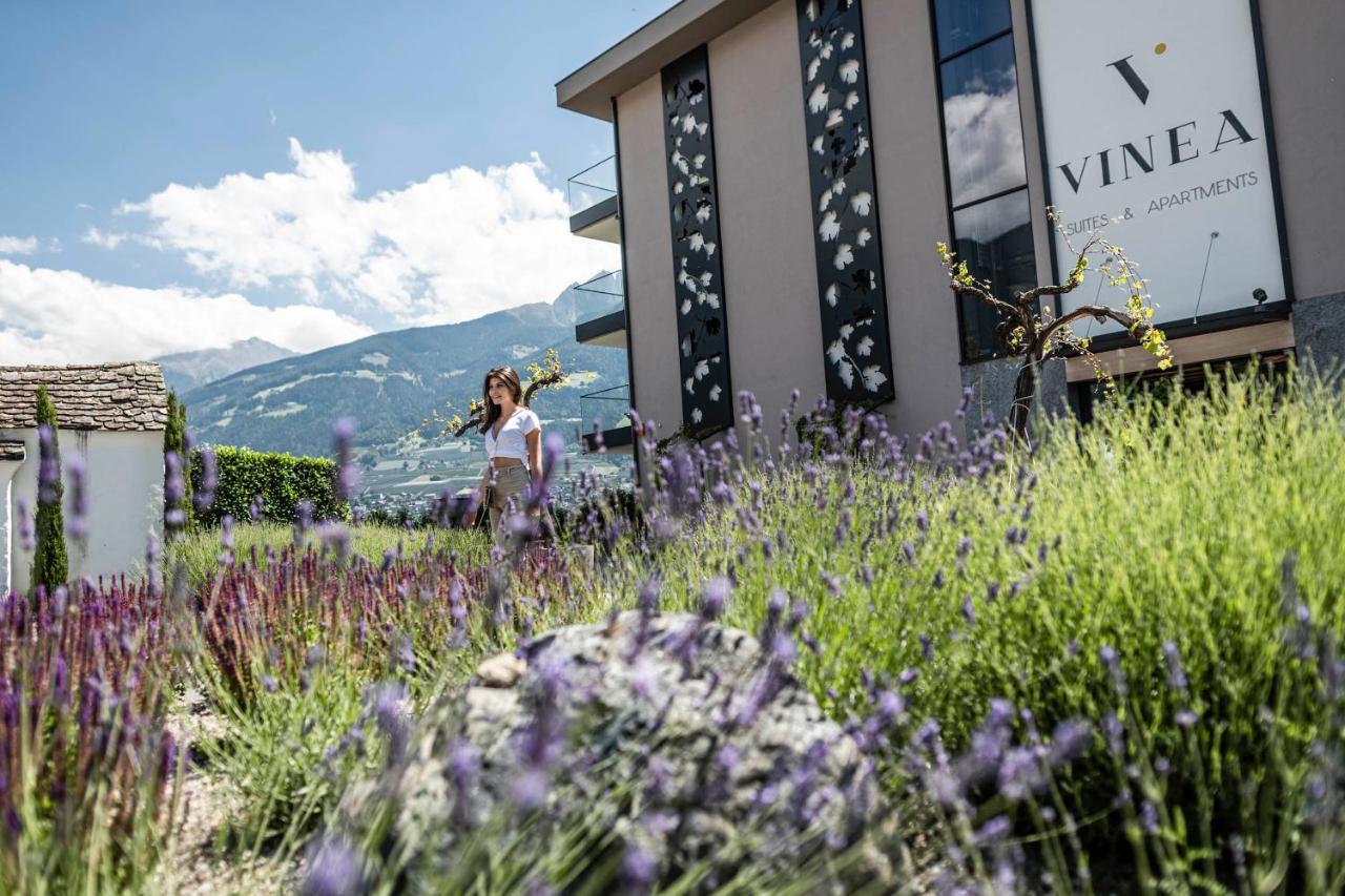 Vinea - Apartments Tirolo Zewnętrze zdjęcie